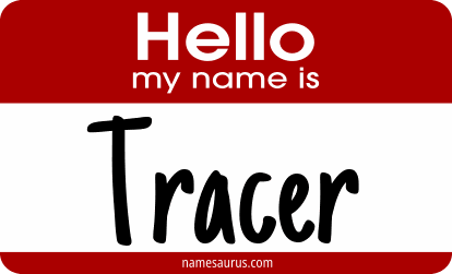 Hello my name is Tracer png download