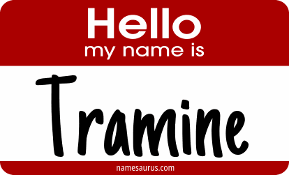 Hello my name is Tramine png download
