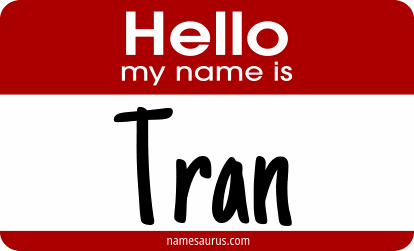 Hello my name is Tran png download