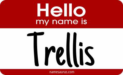 Hello my name is Trellis png download
