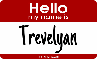 Hello my name is Trevelyan png download