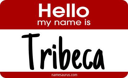 Hello my name is Tribeca png download