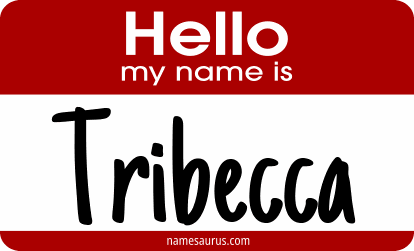 Hello my name is Tribecca png download