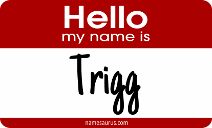 Hello my name is Trigg png download