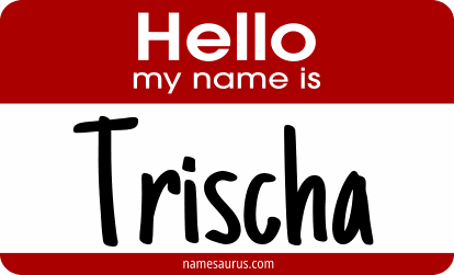 Hello my name is Trischa png download