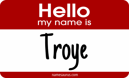 Hello my name is Troye png download