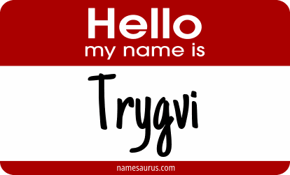 Hello my name is Trygvi png download