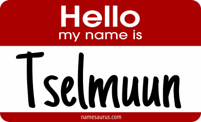 Hello my name is Tselmuun png download