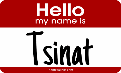 Hello my name is Tsinat png download