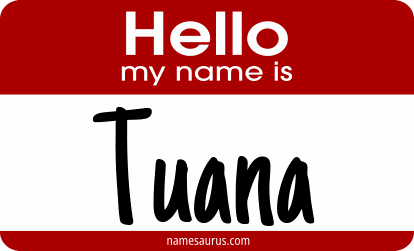 Hello my name is Tuana png download