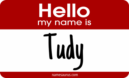 Hello my name is Tudy png download