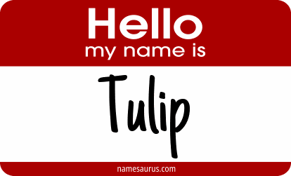 Hello my name is Tulip png download