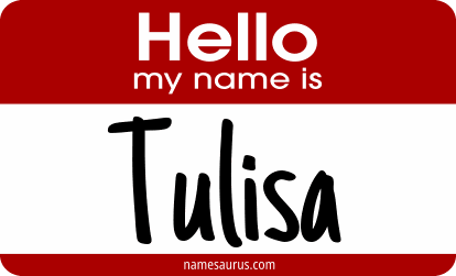 Hello my name is Tulisa png download