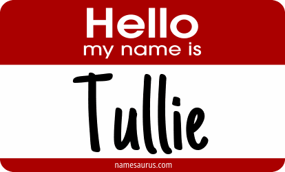 Hello my name is Tullie png download