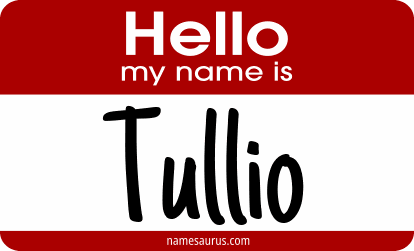 Hello my name is Tullio png download