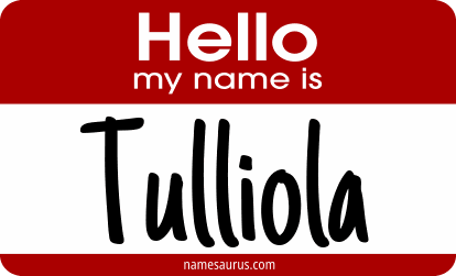 Hello my name is Tulliola png download