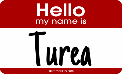 Hello my name is Turea png download
