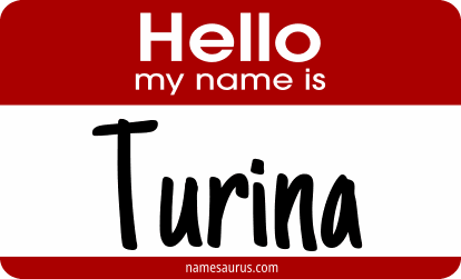 Hello my name is Turina png download