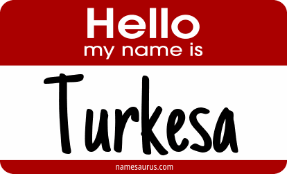Hello my name is Turkesa png download