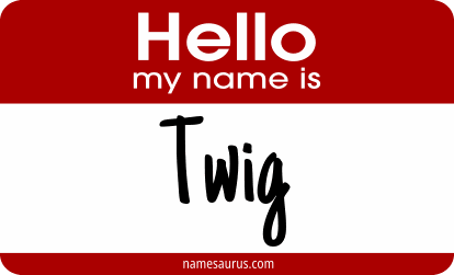 Hello my name is Twig png download