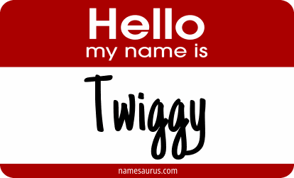 Hello my name is Twiggy png download