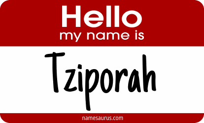 Hello my name is Tziporah png download