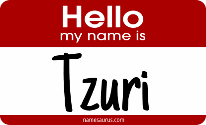 Hello my name is Tzuri png download