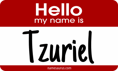 Hello my name is Tzuriel png download