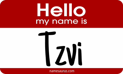 Hello my name is Tzvi png download