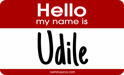 Hello my name is Udile png download