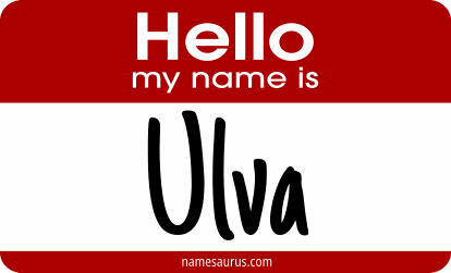 Hello my name is Ulva png download