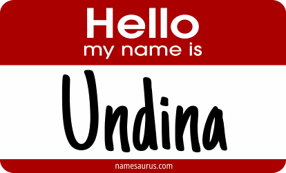 Hello my name is Undina png download