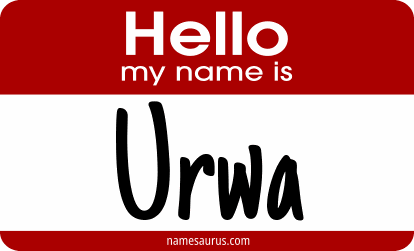 Hello my name is Urwa png download