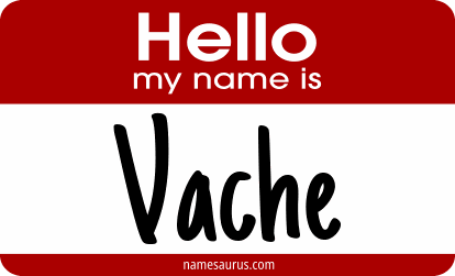 Hello my name is Vache png download