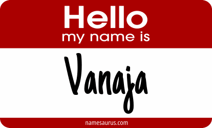 Hello my name is Vanaja png download