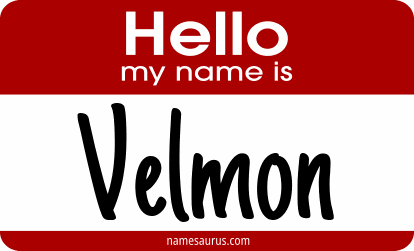 Hello my name is Velmon png download