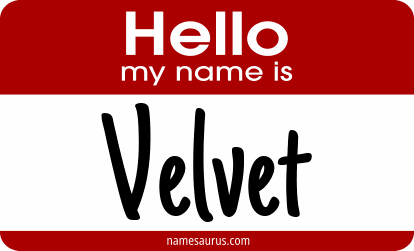 Hello my name is Velvet png download