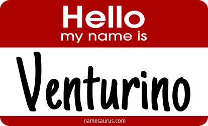 Hello my name is Venturino png download