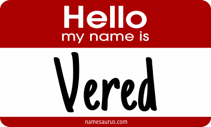 Hello my name is Vered png download
