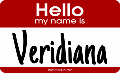 Hello my name is Veridiana png download