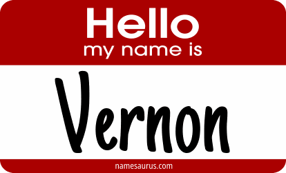 Hello my name is Vernon png download