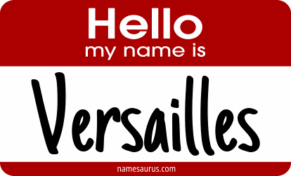 Hello my name is Versailles png download