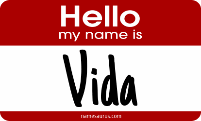 Hello my name is Vida png download