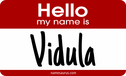Hello my name is Vidula png download