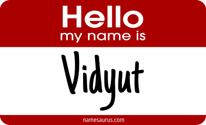 Hello my name is Vidyut png download