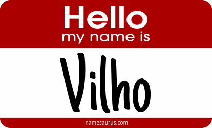 Hello my name is Vilho png download