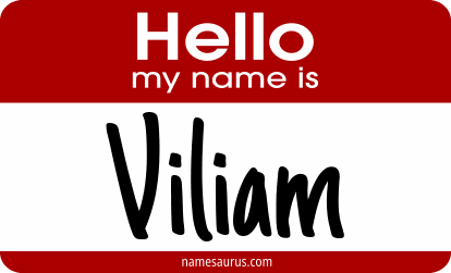 Hello my name is Viliam png download