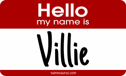 Hello my name is Villie png download