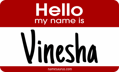 Hello my name is Vinesha png download