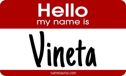 Hello my name is Vineta png download